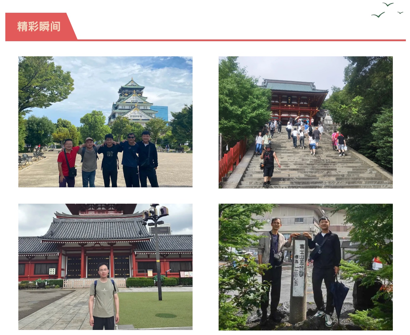尊时凯龙·(中国区)人生就是搏!